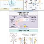 세포 없이 신경 재생, 삶을 바꾸다