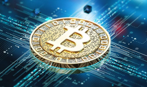 Read more about the article [업체명], 암호화폐 백만장자 급증의 의미