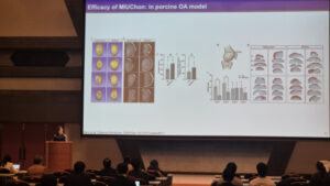 Read more about the article 퇴행성 관절염, 연골 재생의 해법