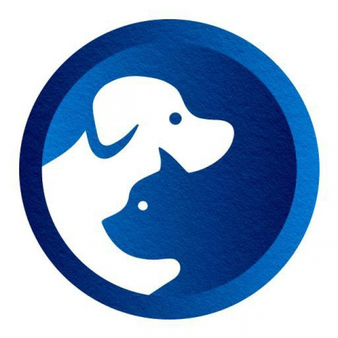 Read more about the article 파우누스글로벌, 기술로 증명한 FNS 상장