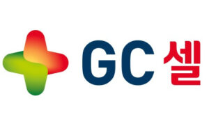 천연 살해 세포 치료제 혁신과 효과